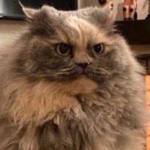 Meet your Posher, Cindy